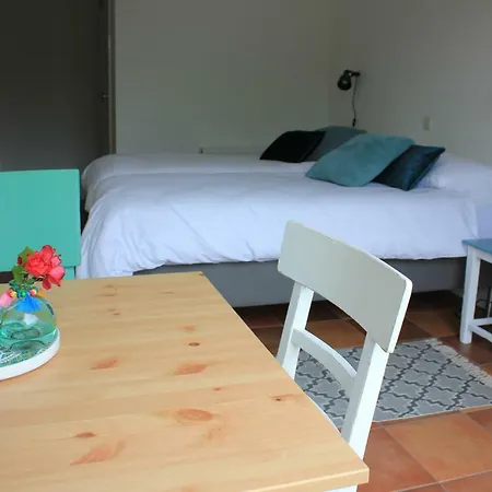 Bluesheep-texel Bed and Breakfast De Koog  Buitenkant foto