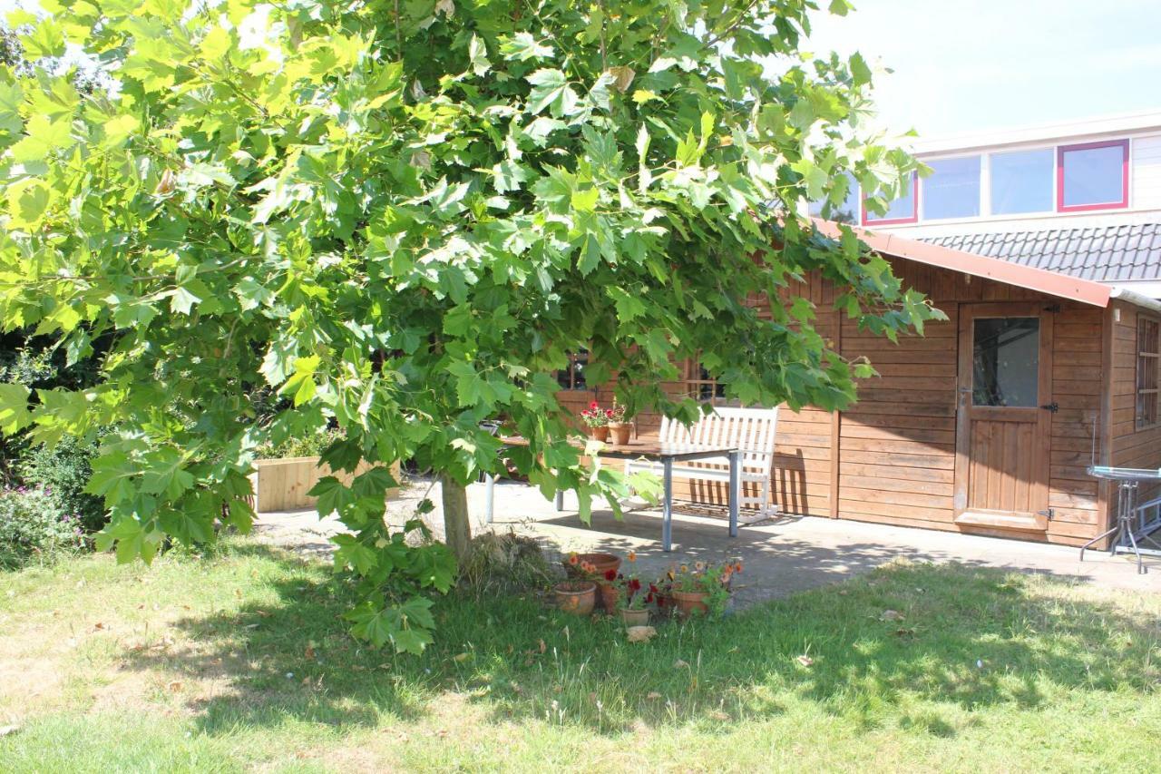 Bed & Breakfast Bluesheep-texel De Koog (Texel)